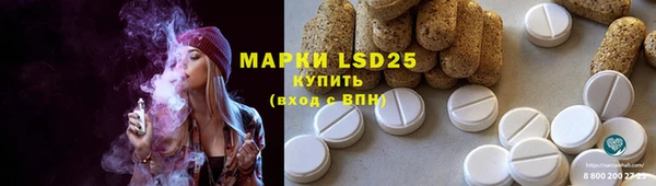 стаф Инсар