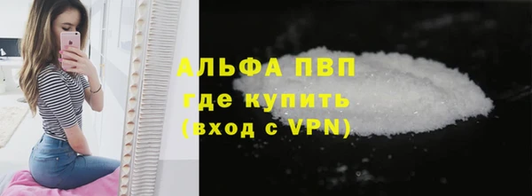стаф Инсар