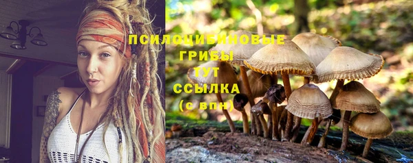 бутират Инта