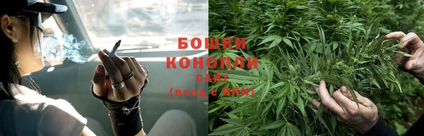 стаф Инсар