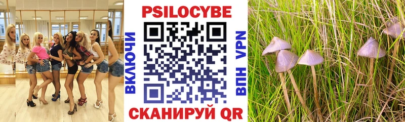 Купить  Валуйки  Псилоцибиновые грибы MAGIC MUSHROOMS 